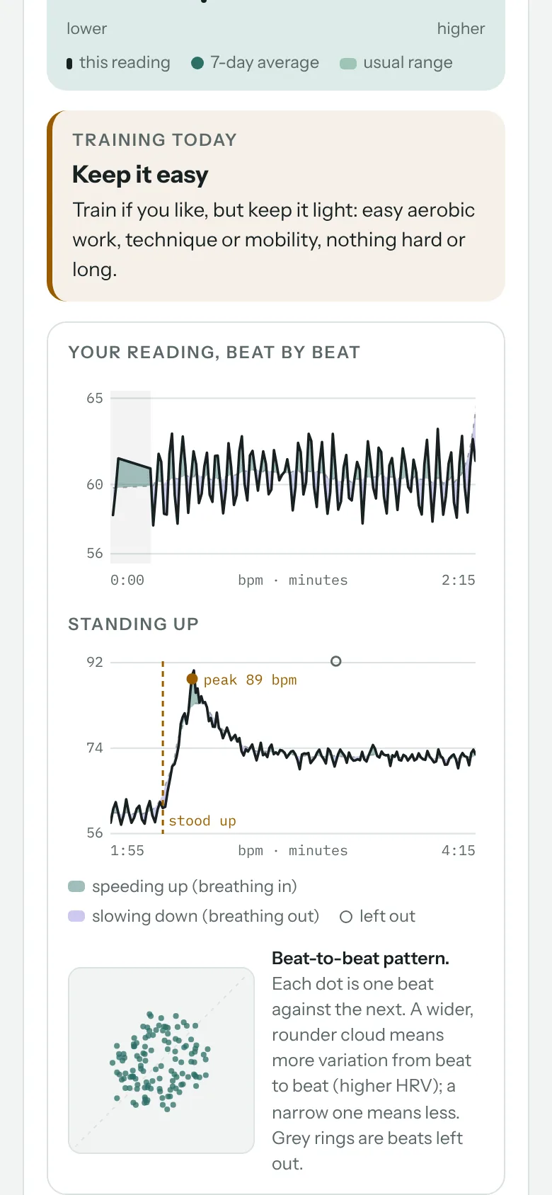 The whole reading beat by beat, the standing test and the beat-to-beat pattern